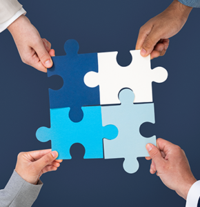 Actores de la formación organizacional